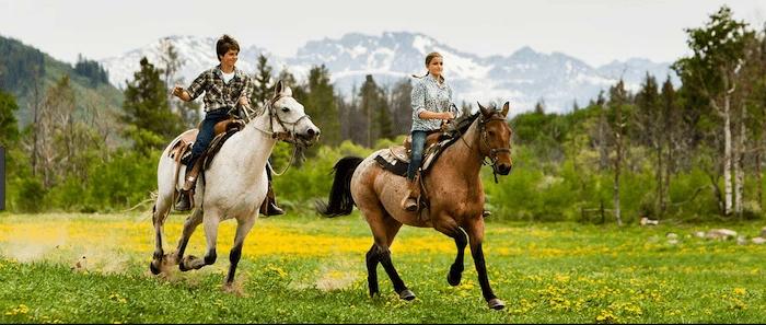 Confident plus-size woman riding Wincanton a horse through a field with a smile on her face.